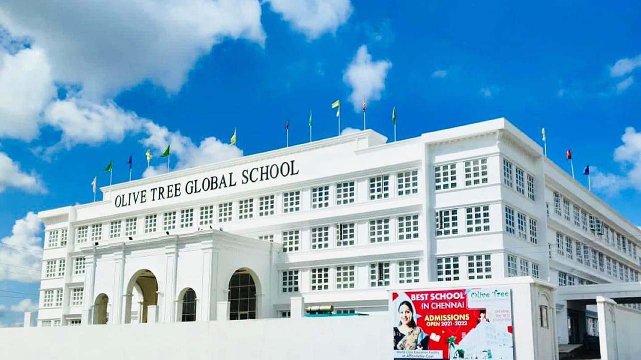 Olive Tree Global School